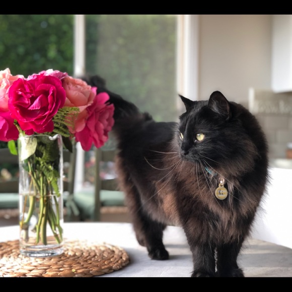 Meet your Posher, Joyce - Picture 10 of 12